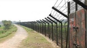 ভোলাহাট সীমান্তে আরও ৮ বাংলাদেশিকে পুশইন বিএসএফের